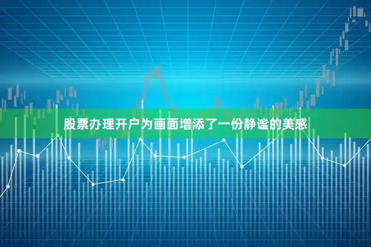 股票办理开户为画面增添了一份静谧的美感