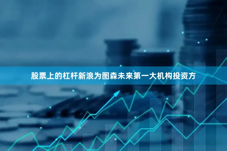 股票上的杠杆新浪为图森未来第一大机构投资方